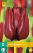 tulipan MASCARA